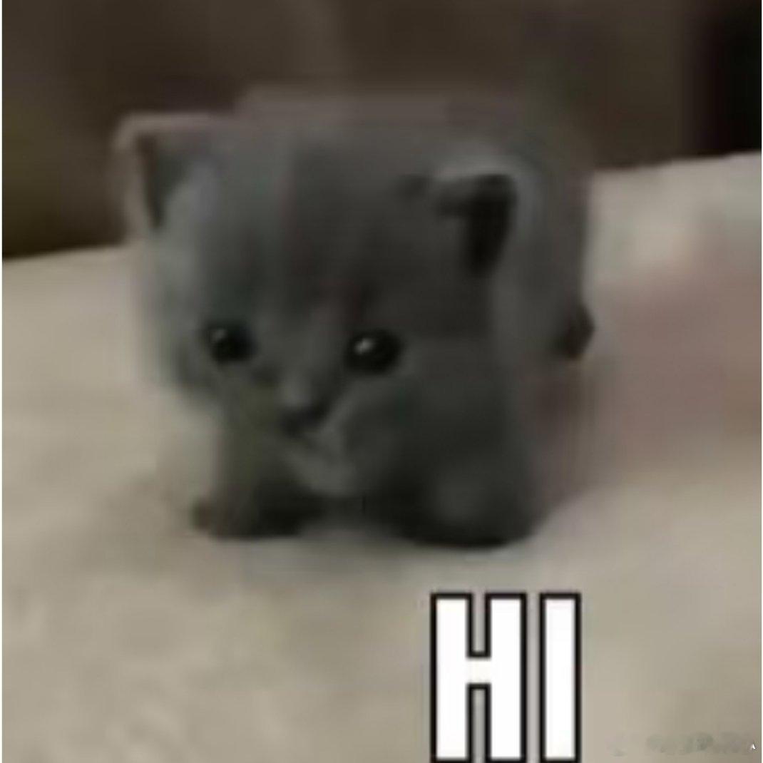 倡导富强、民主、文明、和谐，倡导自由、平等、公正、法治，倡导爱国、敬业、诚信、友