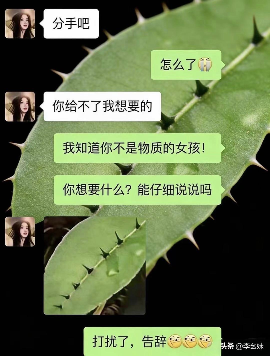 发张这个图是啥意思啊？