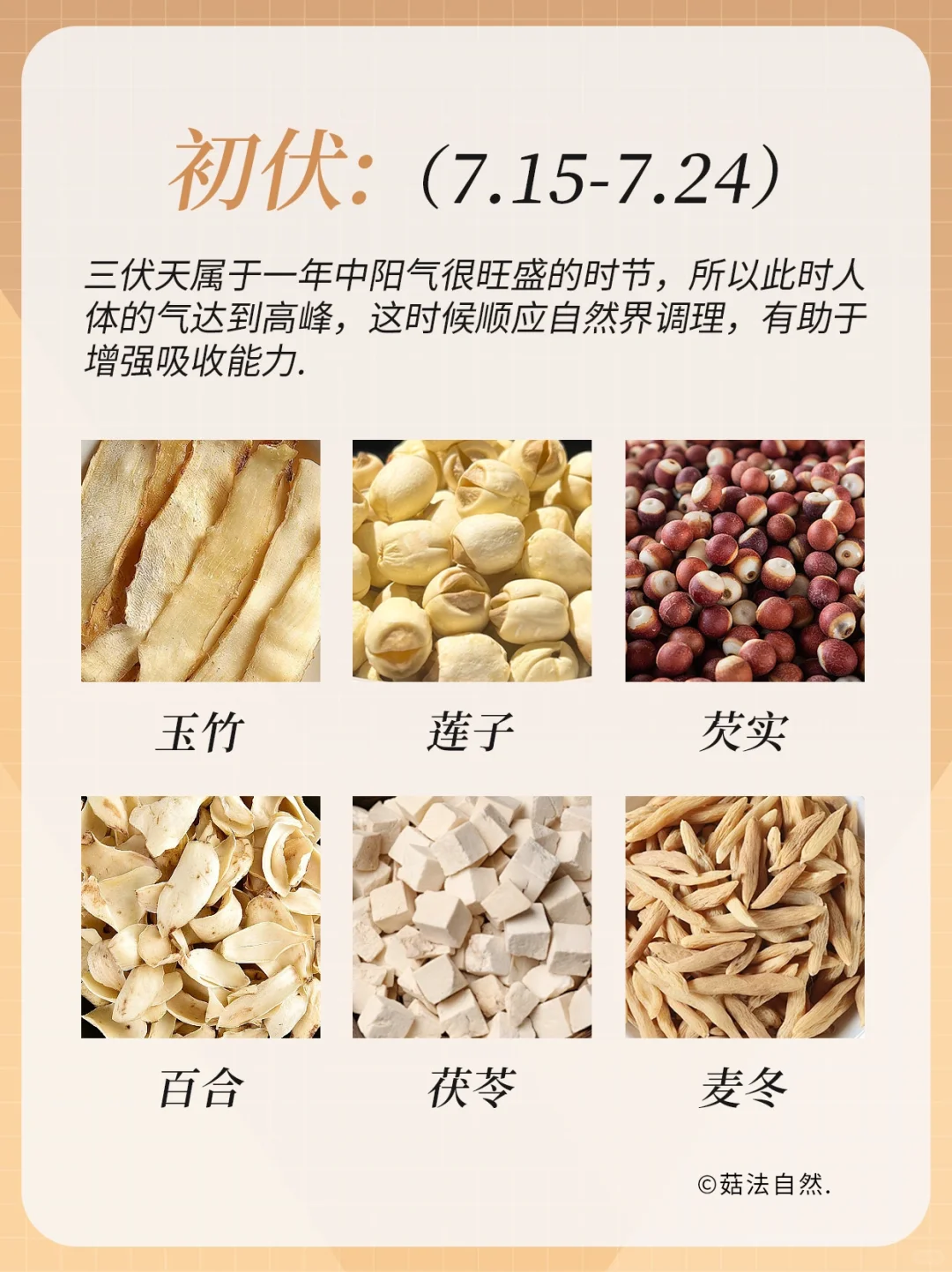 🔥三伏天这么吃抓住黄金40天❗️