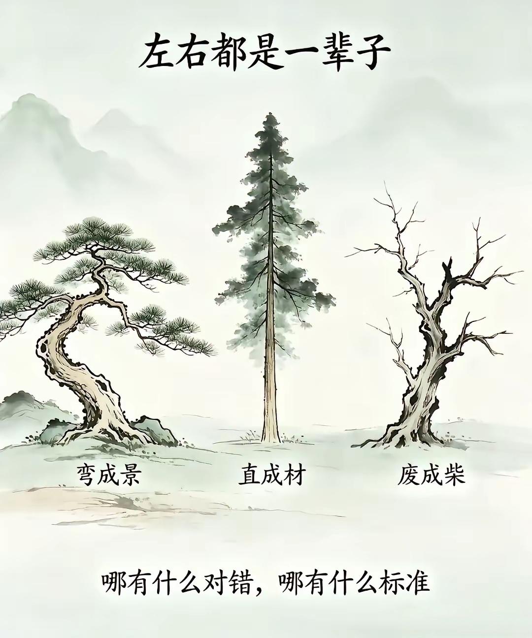 人生道路不同，结局相同