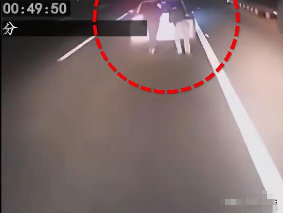 高速行车时车辆突然没电，两人竟在超车道冒险推车，最终被后方货车追尾，不幸双双身亡