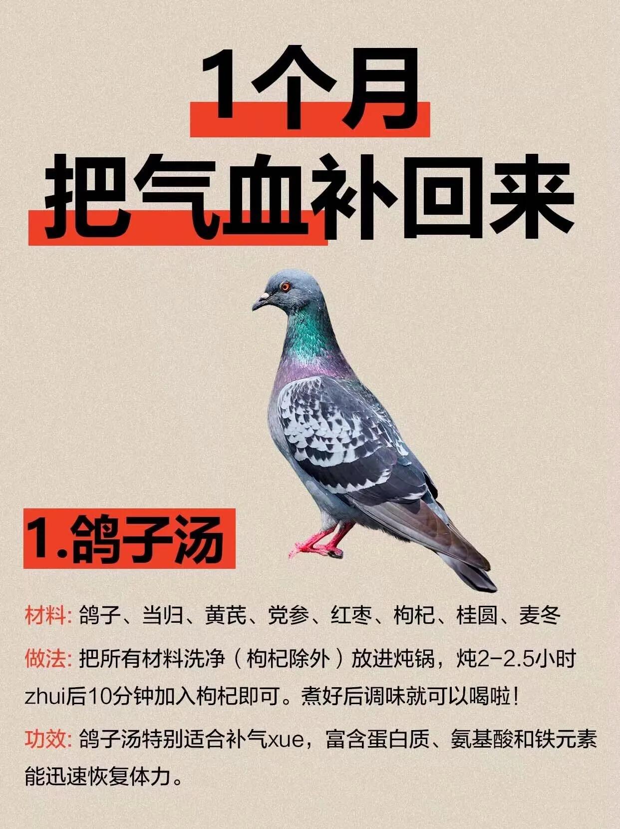 养气🔥血1个月！一个月把气血补回来！