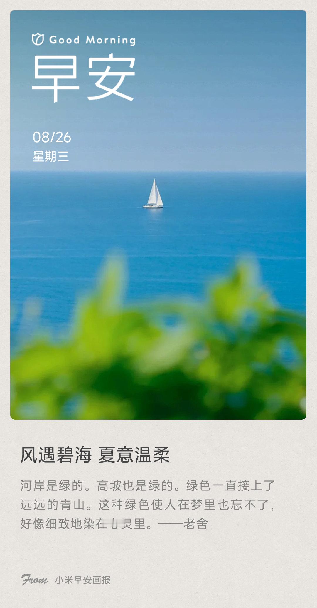 小米画报 风遇碧海 夏意温柔： 河岸是绿的。高坡也是绿的。绿色一直接上了远远的青