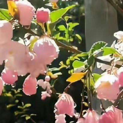 000000我始终坚信，美好会遇见美好，如桃花遇见春风，如小桥遇见流水，江南遇见