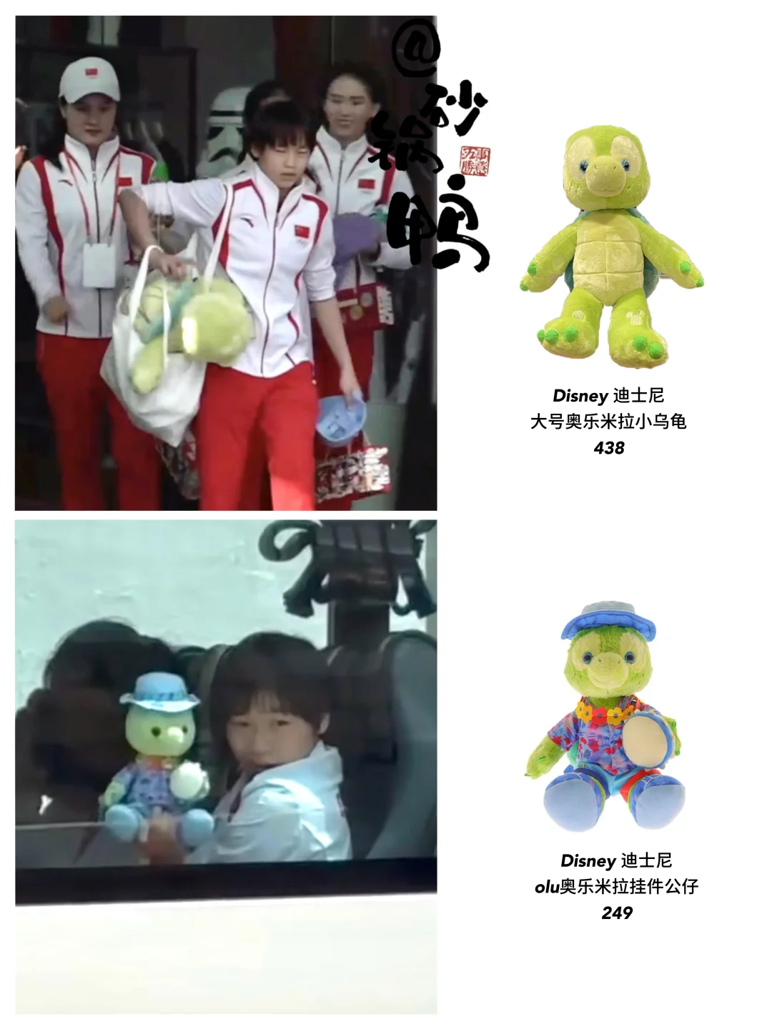 全妹的香港淘龟记😂8.30又收获一堆乌龟🐢