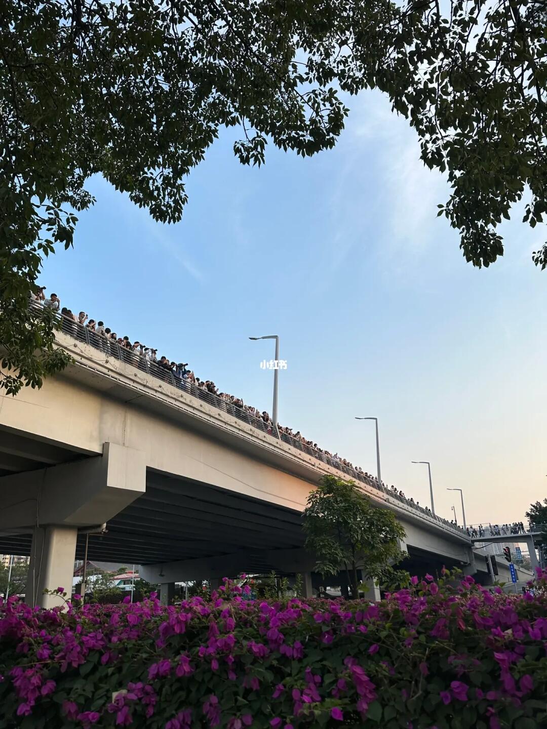 Live图最美有轨列车❓你们卷咯！我不卷了🤣