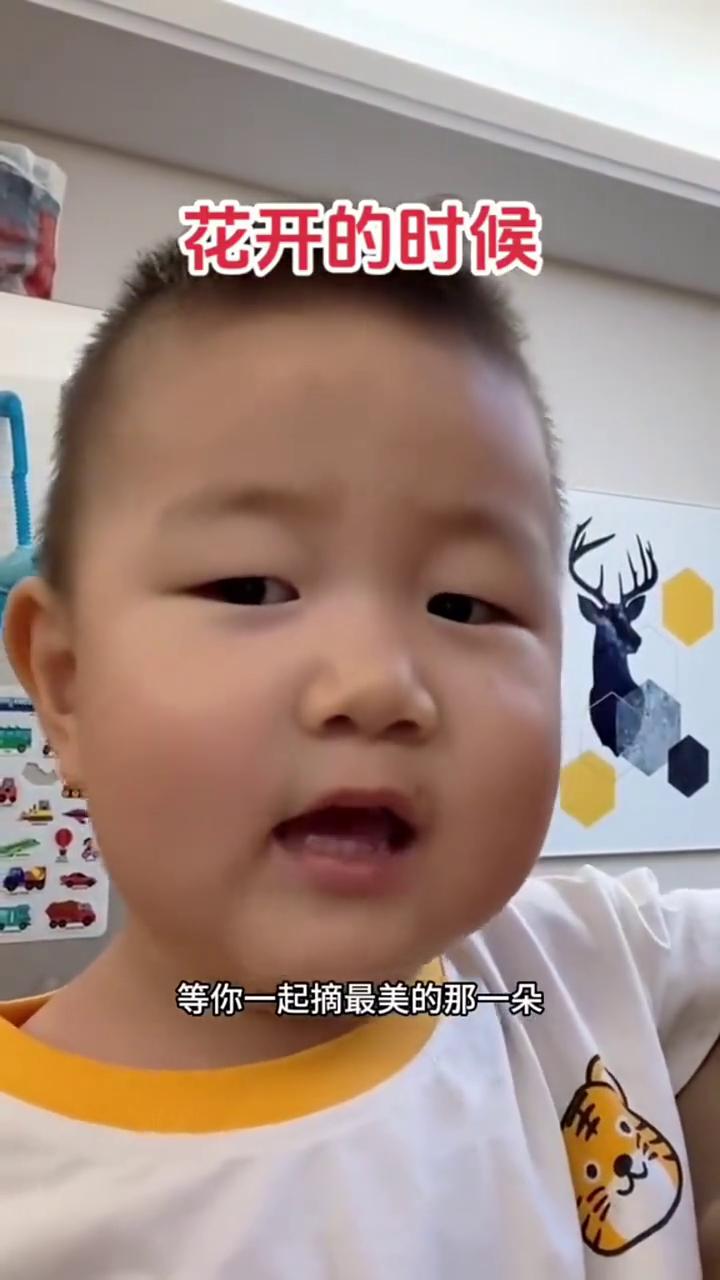 花开的时候，你就来看我，等你一起摘最美的那一朵。远行的时候，点燃灯火，你会看见最