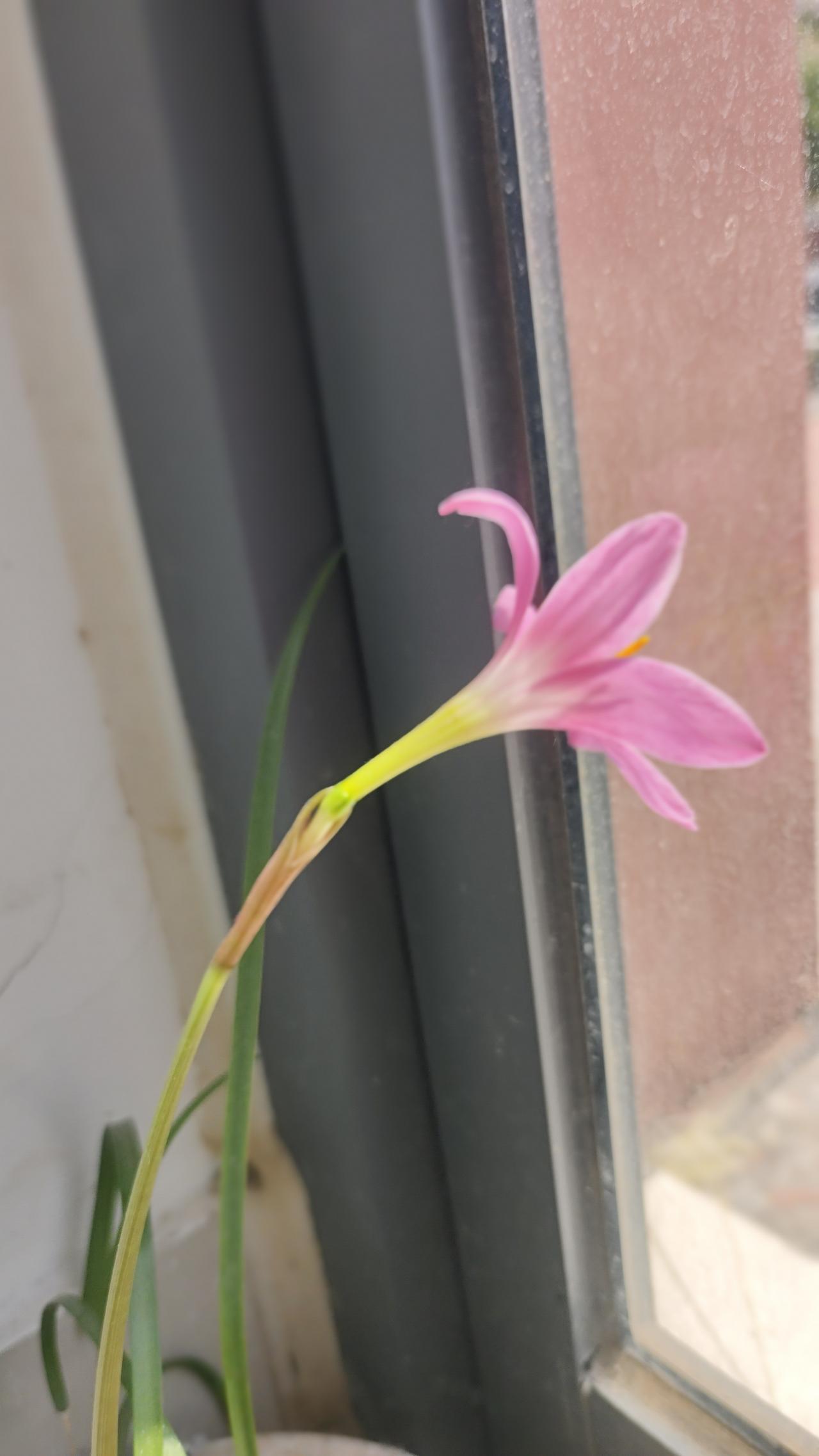 比较是幸福的小偷，是痛苦的牢笼。
人之所以不幸福，
不是因为在追求想要的幸福，