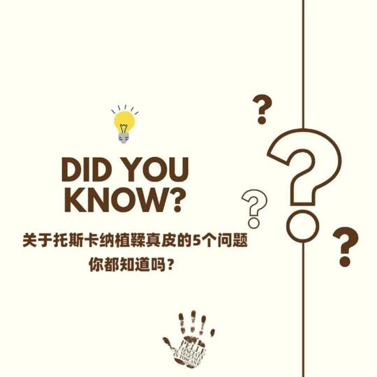 5⃣ 解答关于托斯卡纳植鞣真皮的5个问题