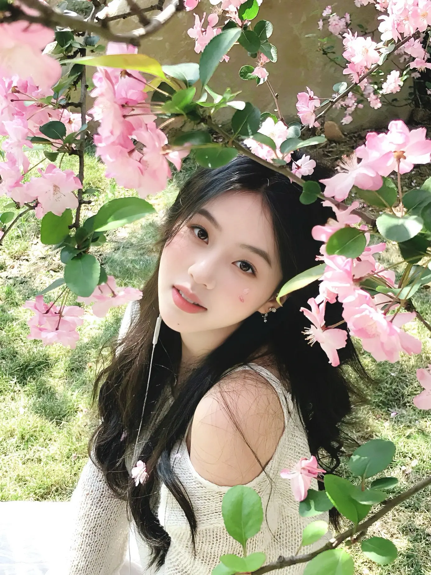 你像花一样明媚