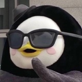 大傻瓜爱谈