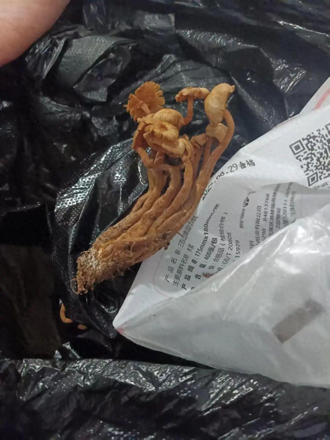 痛心！3人不幸离世，亲属：中午吃了晚上又吃，目前正在办理后事！


2025年1