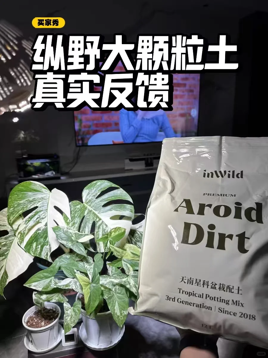 好土养好植，让孩子吃点好的🤣