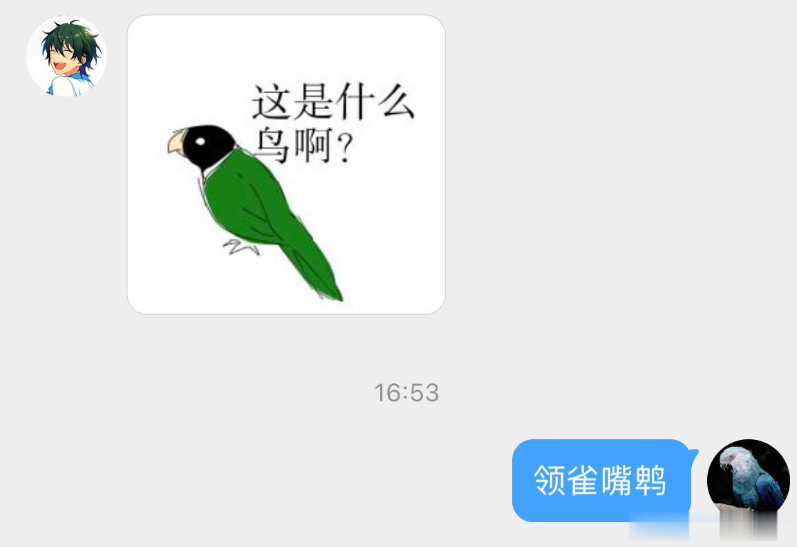 #小天才的鸟类绘画# 【领雀嘴鹎bēi】特征属实都被你看明白了！ ​​​