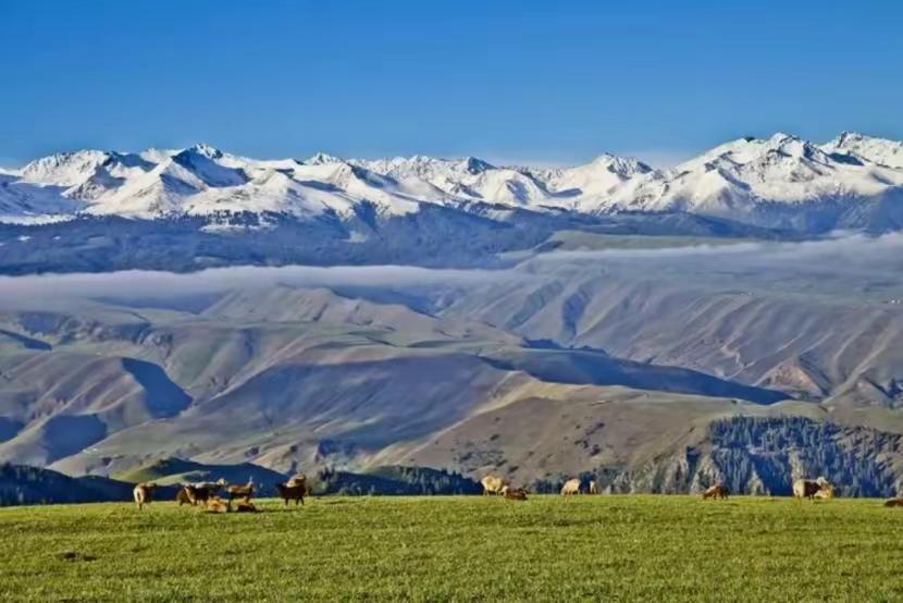 晚清对中国功劳最大的是林泽徐和左宗棠。没有林泽徐的虎门销烟，林就不会被贬至新疆伊