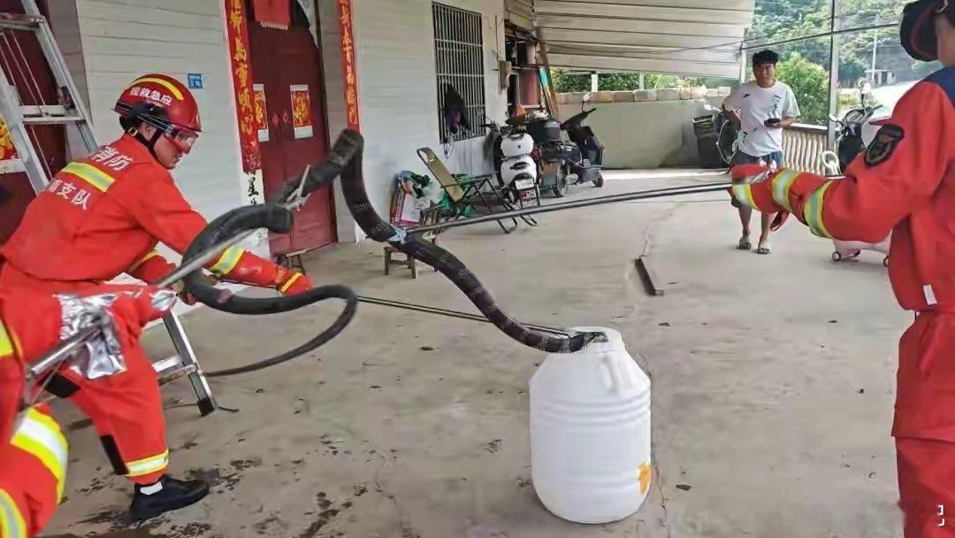 3米巨型蛇王现身贵州农家院！12斤重眼镜王蛇盘踞树上，消防硬核惊险抓捕5月15日