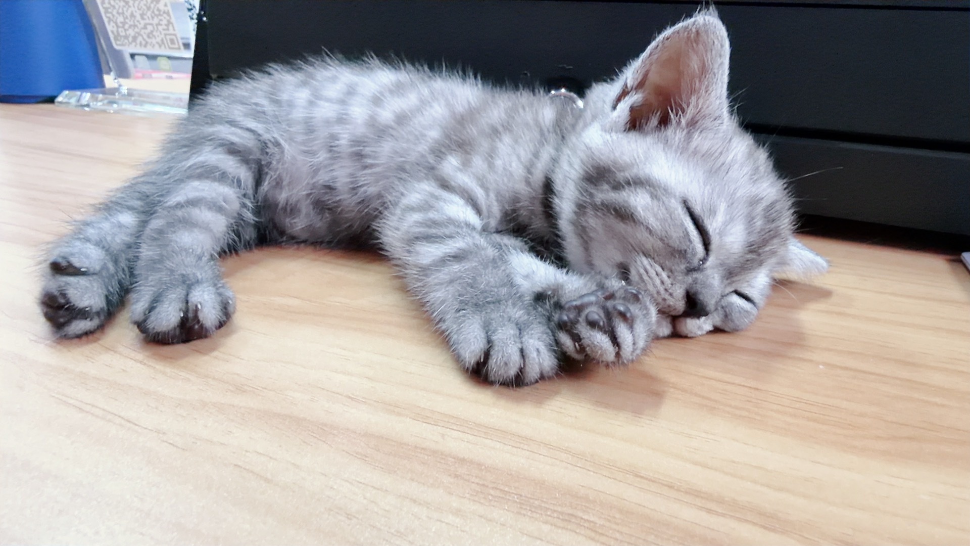 招财猫儿充电中