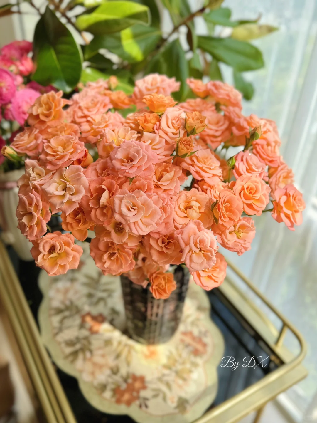 多巴胺 多头玫瑰（锦科）