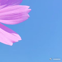 阳光信用  善如星辰，在生命的天空闪耀。面对恶意，用善去化解；遭遇挫折，以善寻力