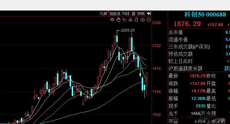 暴涨暴跌  急上急下a股行情