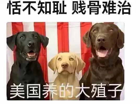 大连工业大学学生李女处分事件，有关不雅视频，已在海外播放量达2亿次，海外反华势力