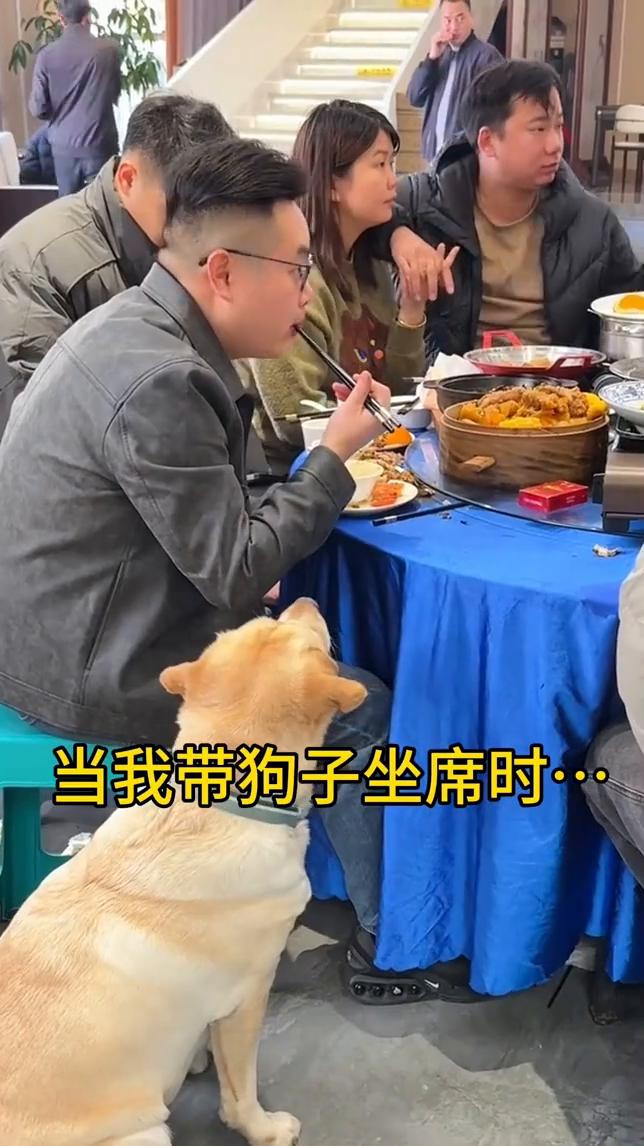 当我带狗子坐席时。