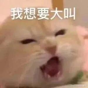 #北大招生宣傳片好戳#北京大学是我们好多人的梦想，可是对于河南省来说，整个省的名