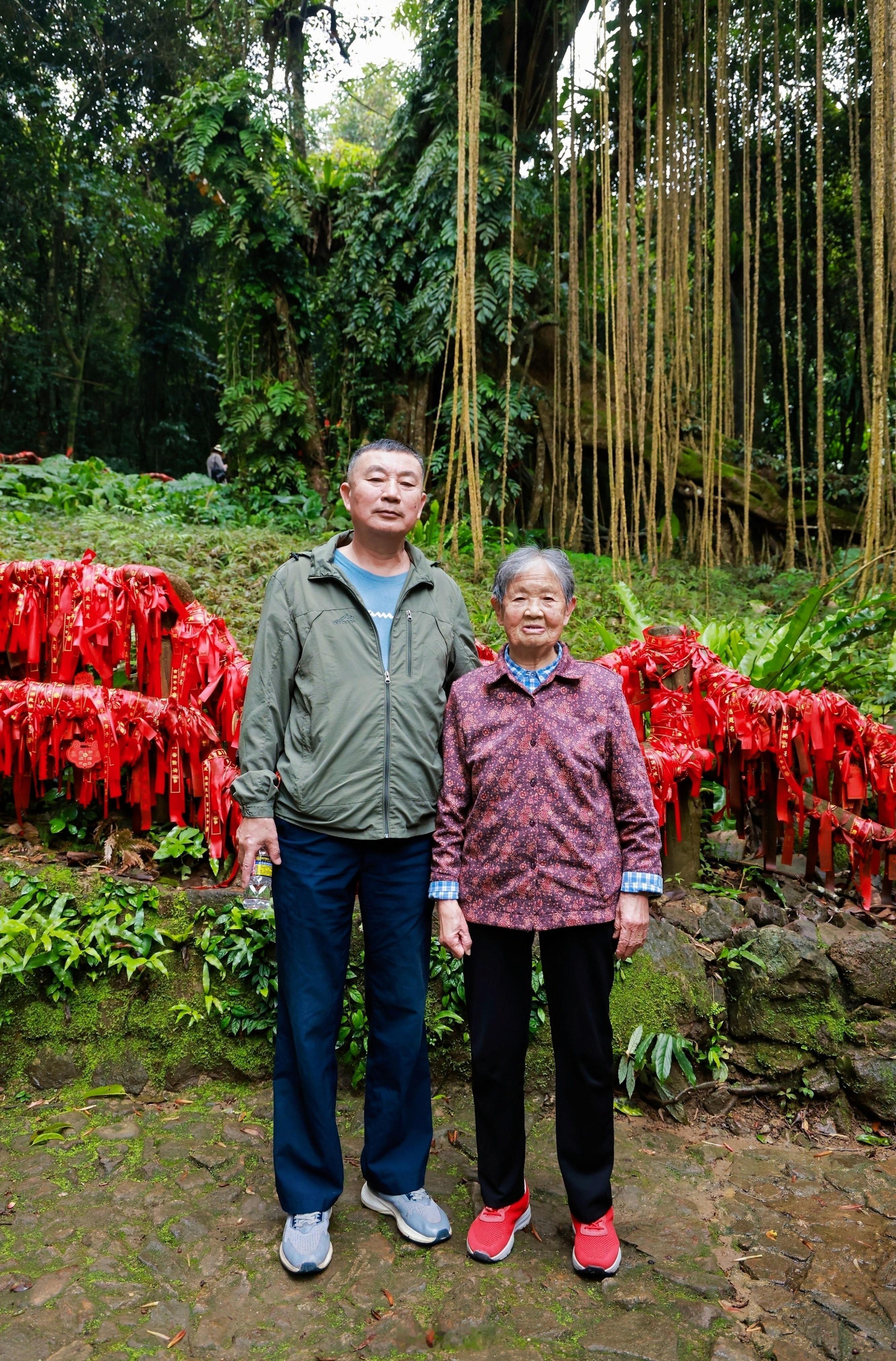 带爸妈去琼中踏春，乘坐海汽观光巴士🚌游海南环热带雨林国家公园，沿途热带雨林风光