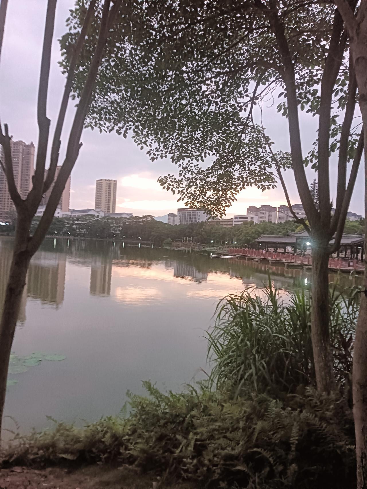 端午节将近贵港市东湖公园码头只剩下一条筏船，看来今年端午赛龙舟还是取消了。赛龙舟