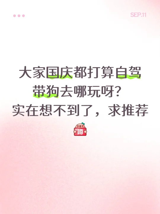 求推荐，大家国庆都打算自驾带狗去哪玩呀？