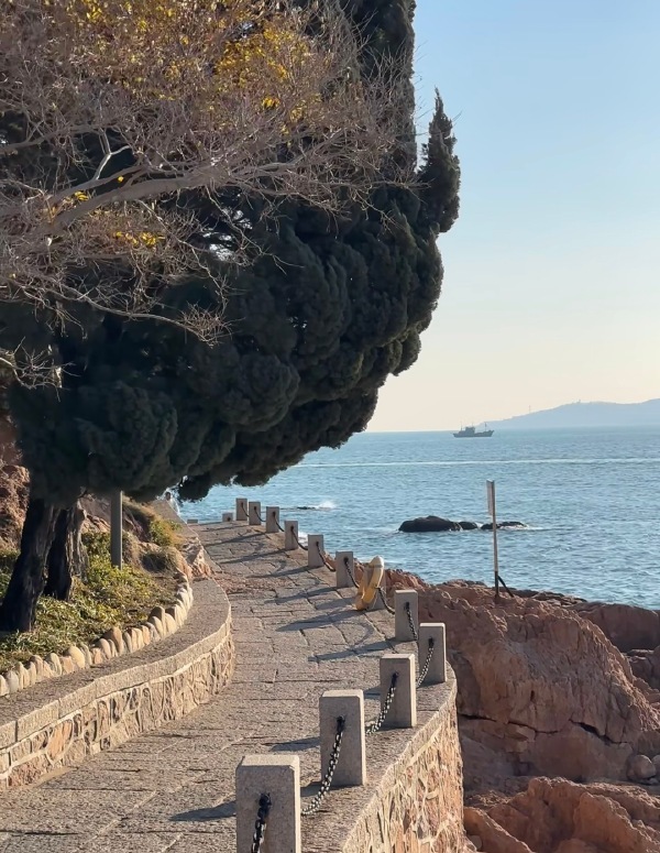 世界为你倾倒 青岛是座美丽的海滨城市。看山海之城的百年回响，感受青岛在世界舞台上