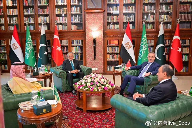 巴基斯坦、土耳其、沙特和埃及外长正在伊斯兰堡举行关于伊朗问题的会谈。 