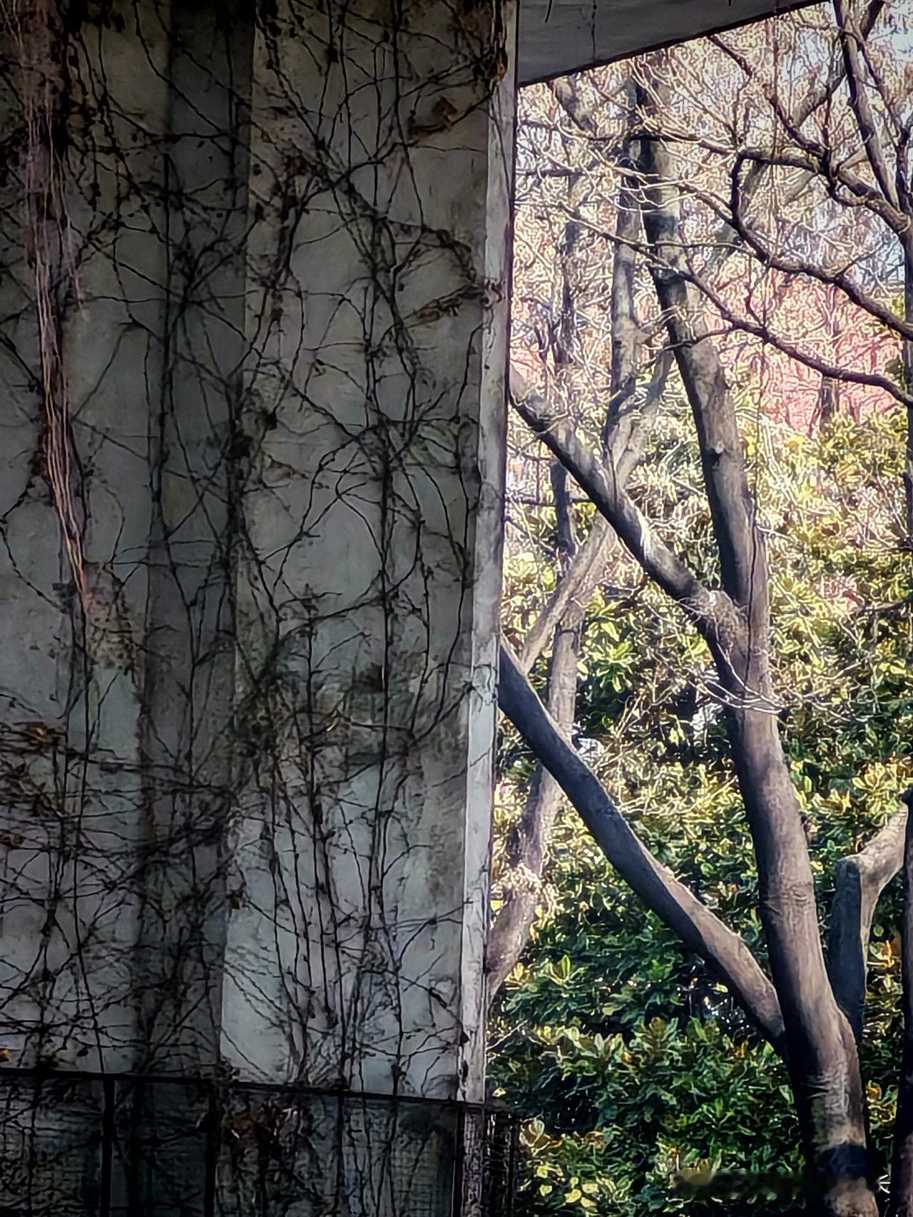 你敢信吗？80多岁老人看病，一上午连号都挂不上！
 
上周带80多岁的老母亲去医