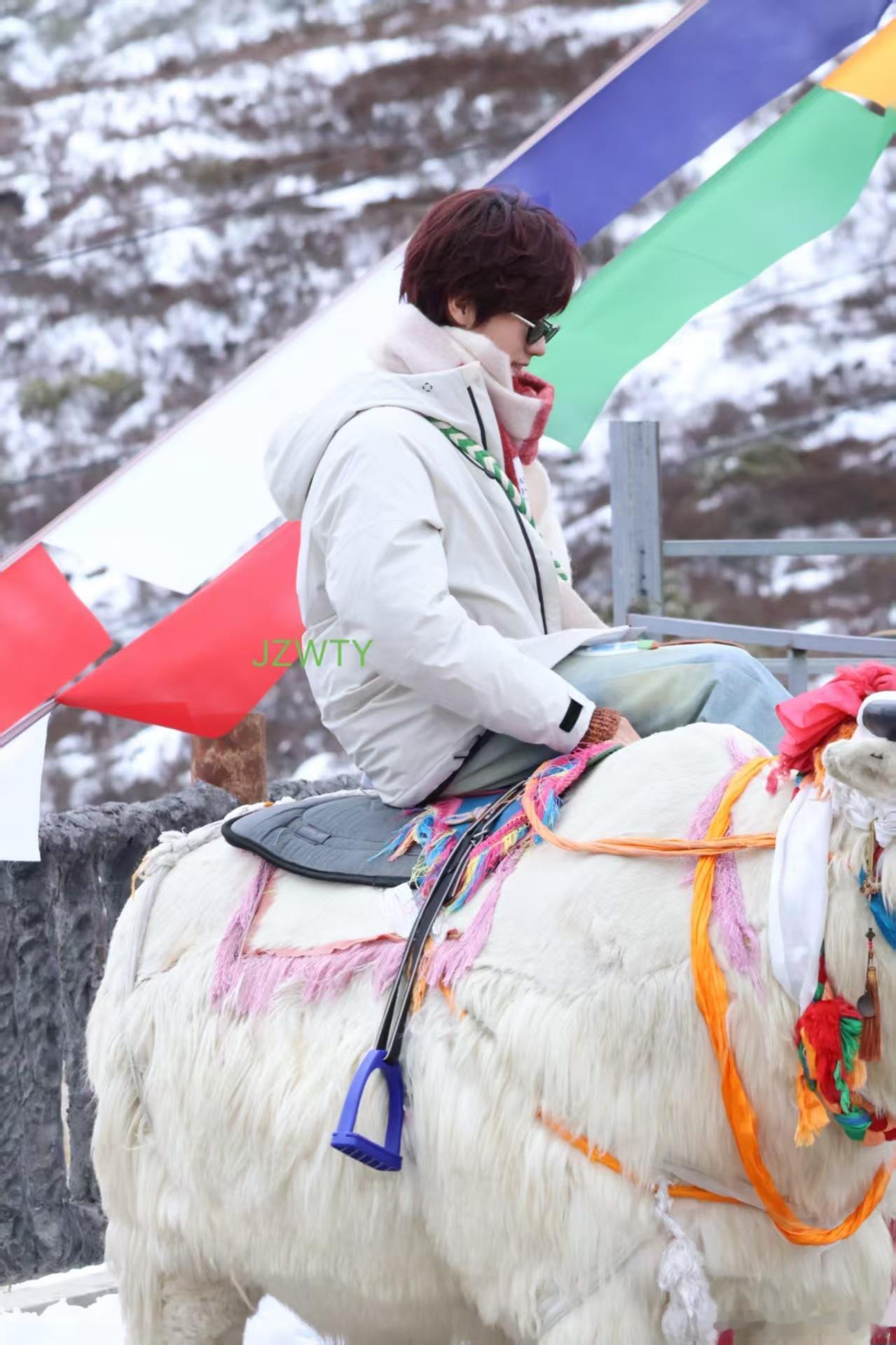 张真源骑牛张真源骑牦牛嗯嗯 ​​​