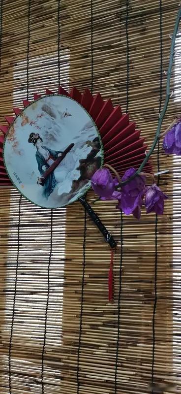 拾灵记·食骨录⑥｜晴雯撕扇：最烈的丫鬟，撞碎了最狠的阶层枷锁

你有没有过这样的