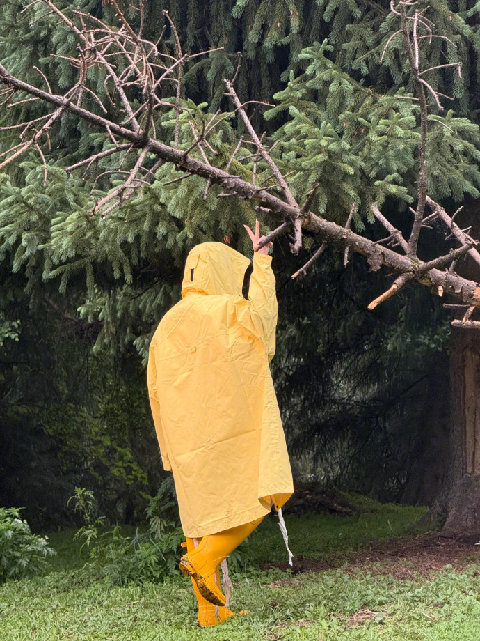 任敏草原雨天live好鲜活 被“雨衣+伞”的叠穿硬控。明明可以躲在室内，偏要走进