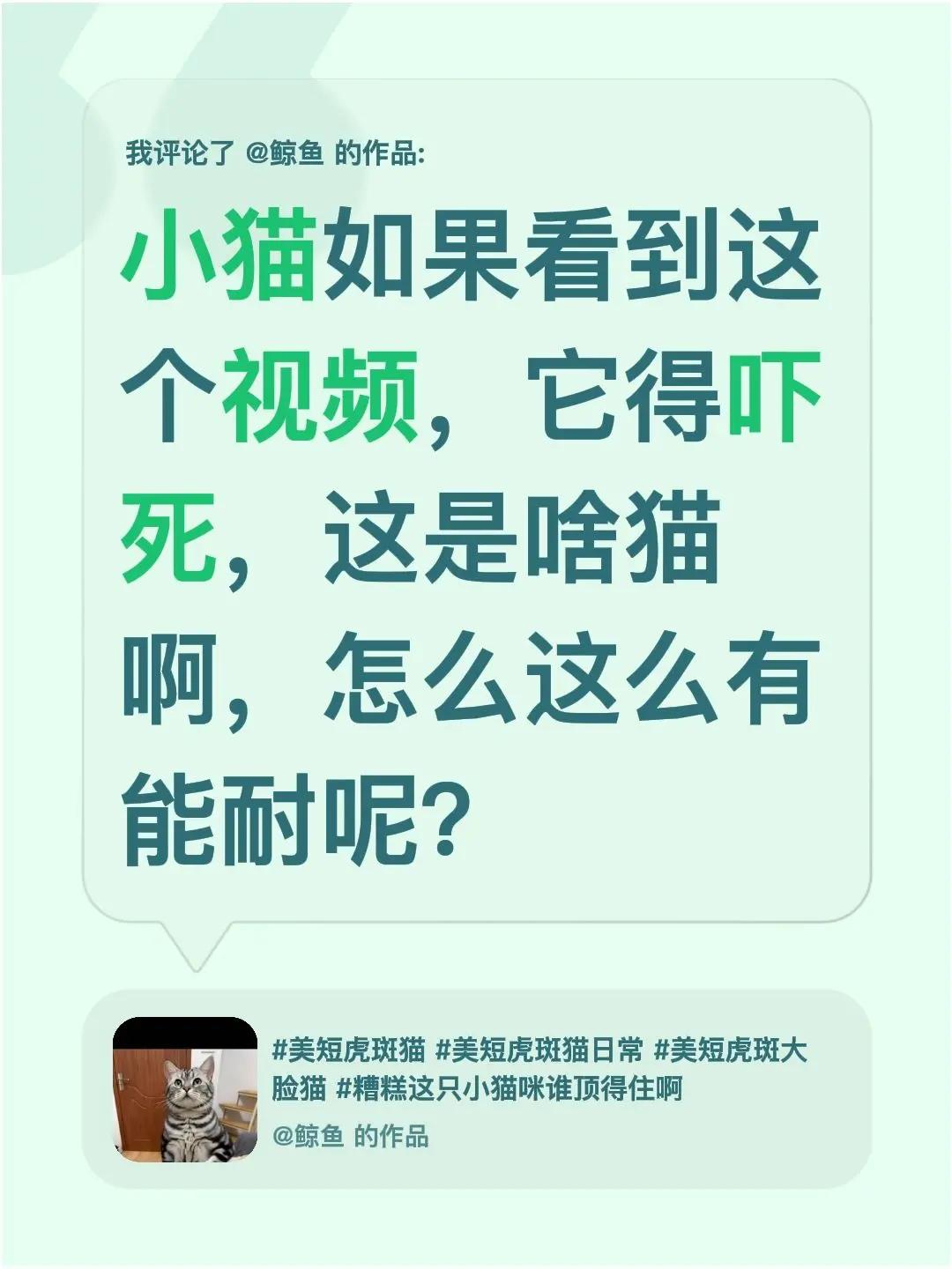 我评论了@鲸鱼 的作品：小猫如果看到这个视频，它得吓死，这是啥猫啊，怎么这么有能