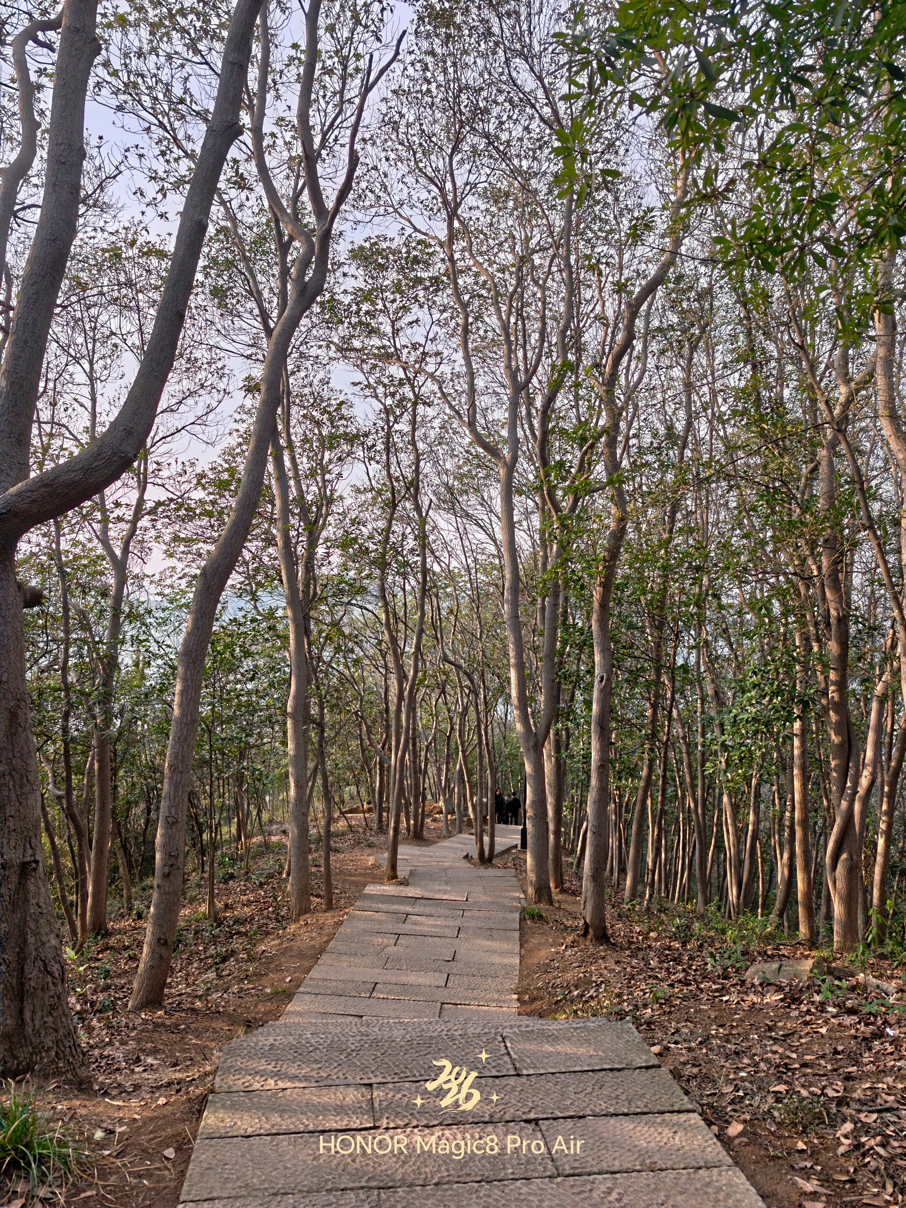 今年第二次爬山