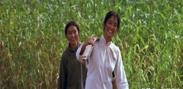 1987年， 张艺谋 筹拍《 红高粱 》，花了四万块钱，请当地农民种100亩红高