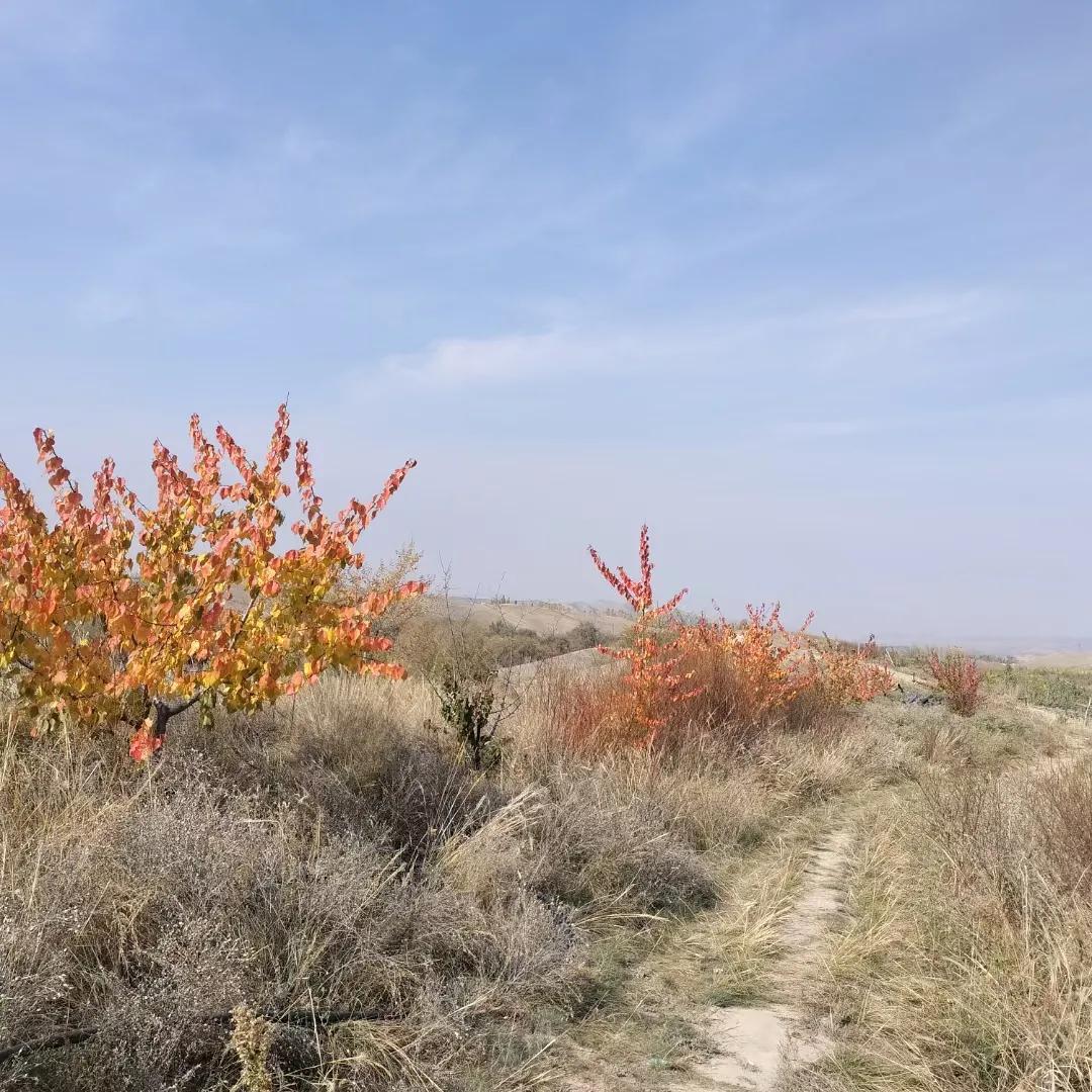但凡，坑蒙拐骗，不当获利的，用几十年前，春晚小品给自行车打气的话归纳，就是宰人。
