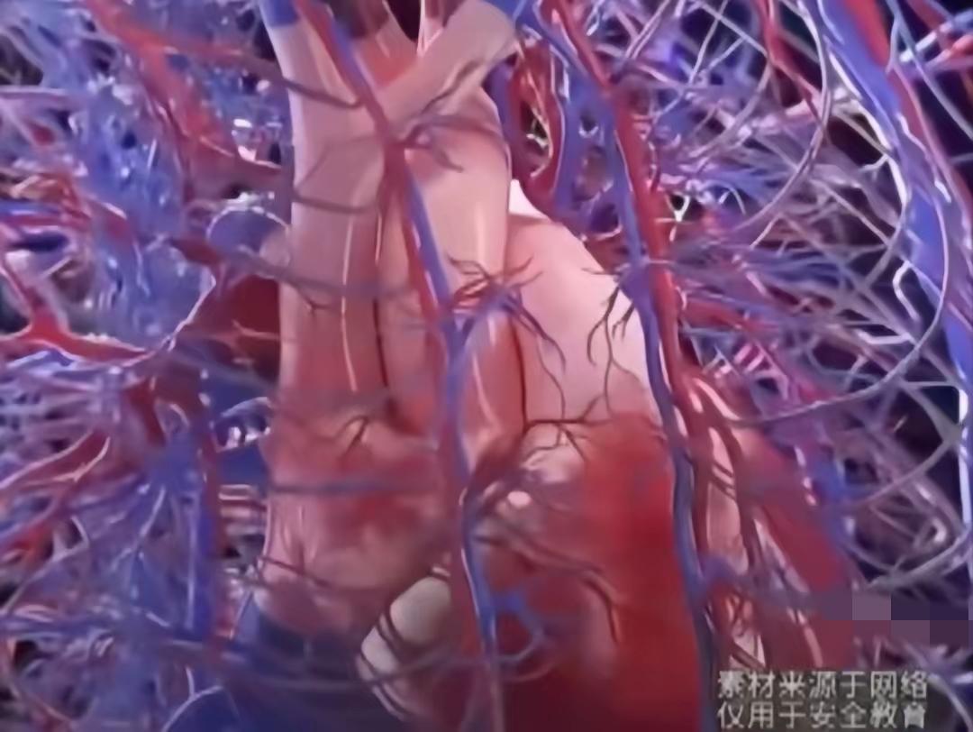 为什么人贩子又开始盯着小孩了，很简单，人体是一个行动的“千万富翁”。有些买卖透露