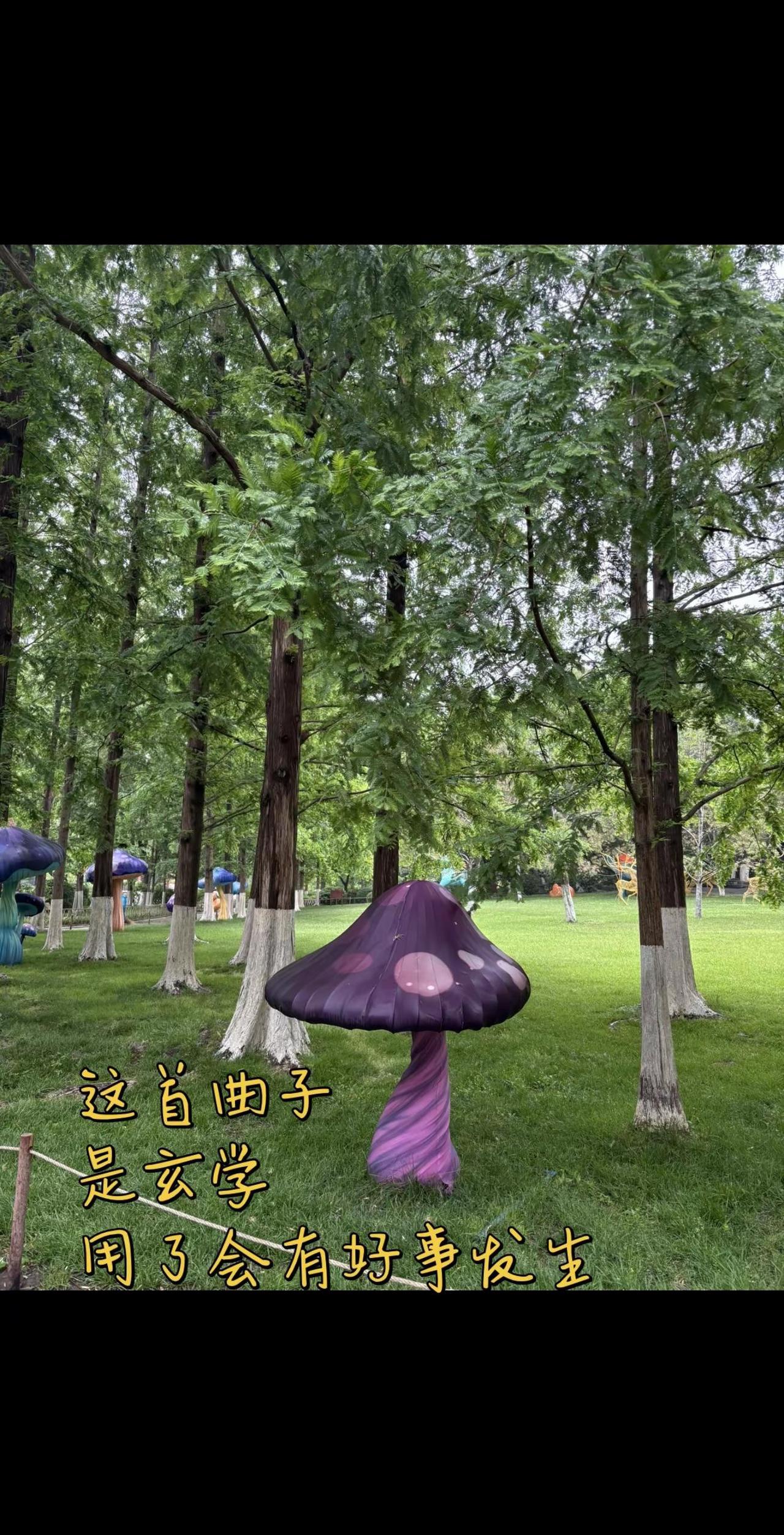 这首曲子是玄学，用了之后就会有好事发生！看见音乐计划