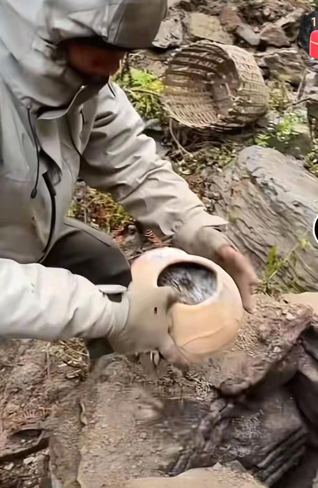 一把柴刀闯深山，33天只剩15人！荒野求生爆火背后，是都市灵魂的集体“出逃”
 