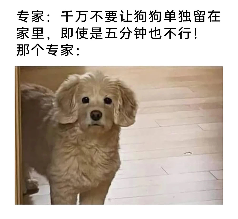听专家的 ​​​