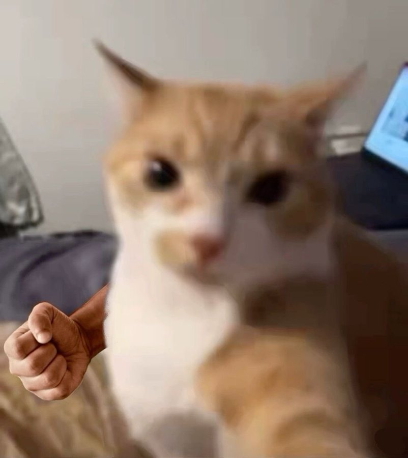 - 