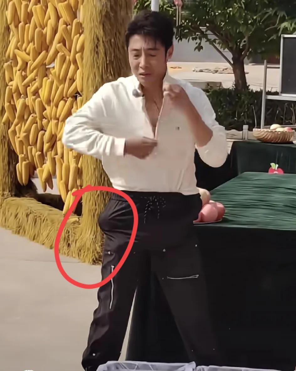 果然，人红是有道理的。
看撒贝宁就知道了，
不是他才智过人，也不是他的情商有多高