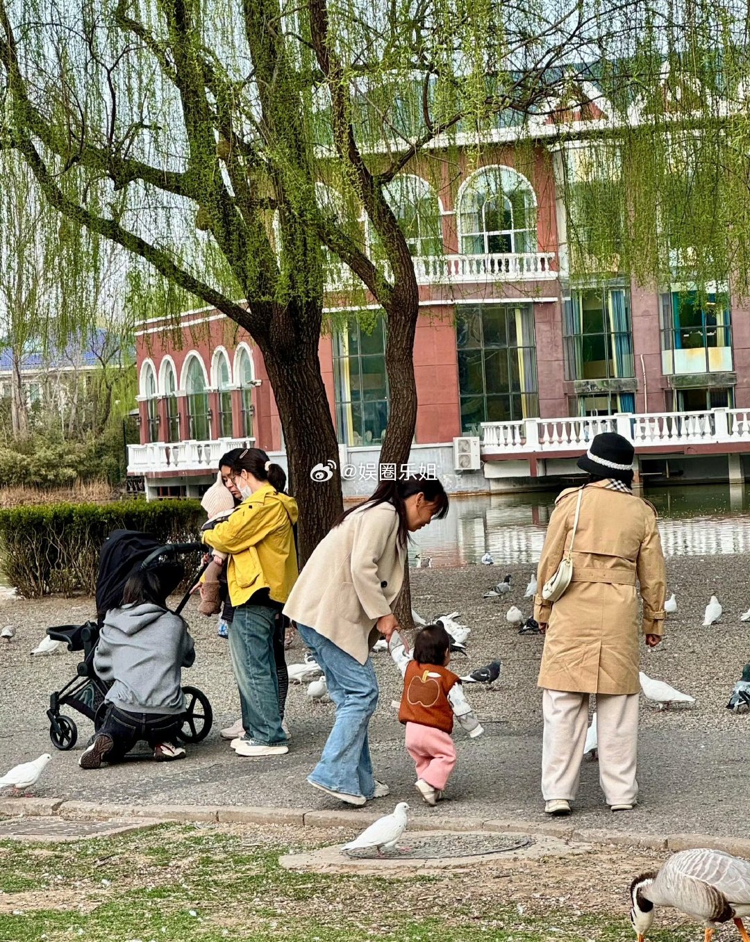 不知道是不是可以预定一个未来超模嘞基因天花板，一切皆有可能偶遇何穗公园遛娃