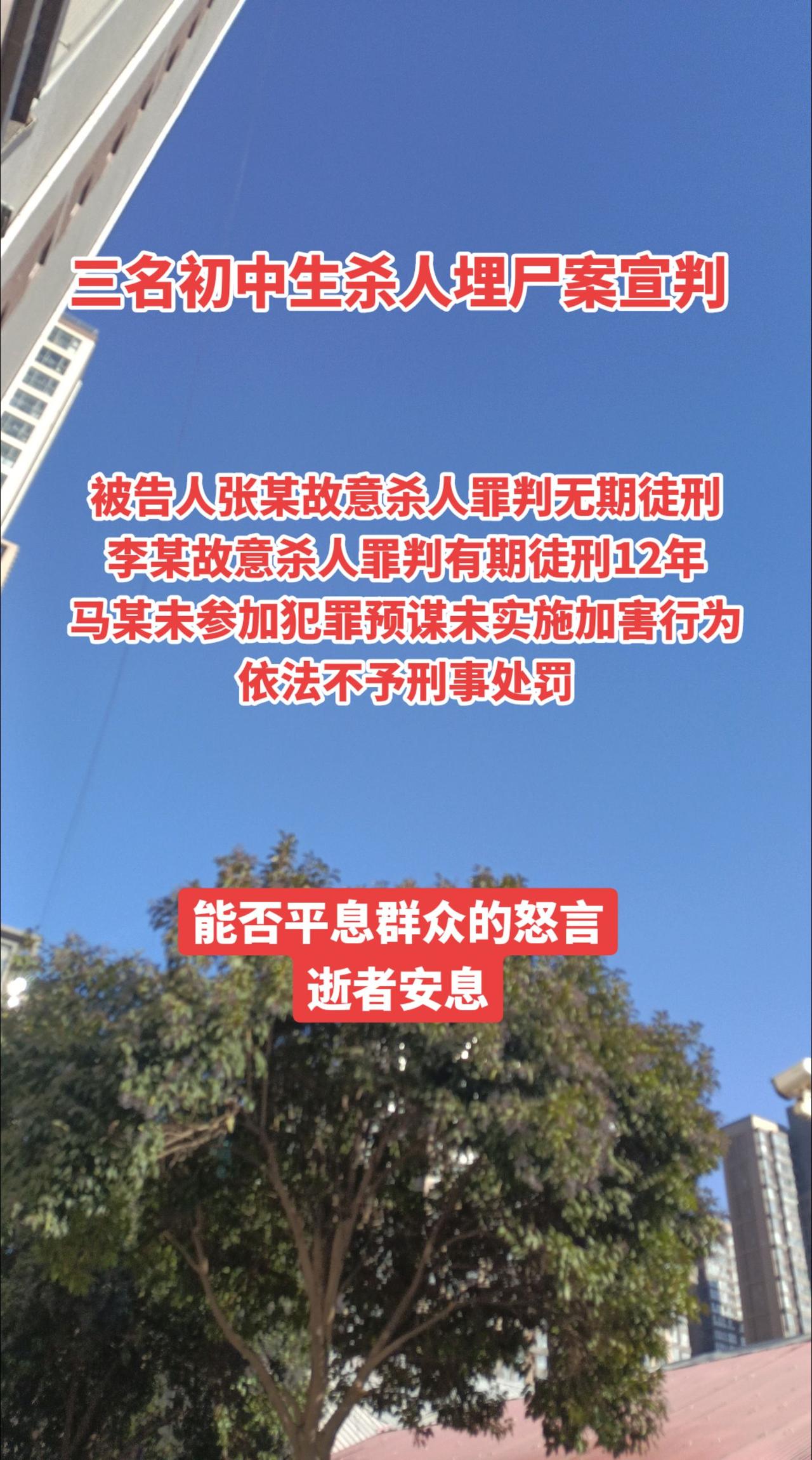 三名初中生Sha人埋shi案宣判