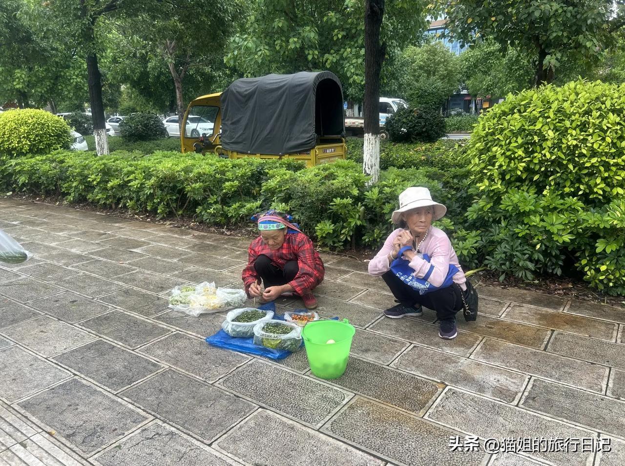 在弥勒旅居的第三十八天啦！许久未曾前往温泉小区的菜市场了。今日午后，本想买大青鱼