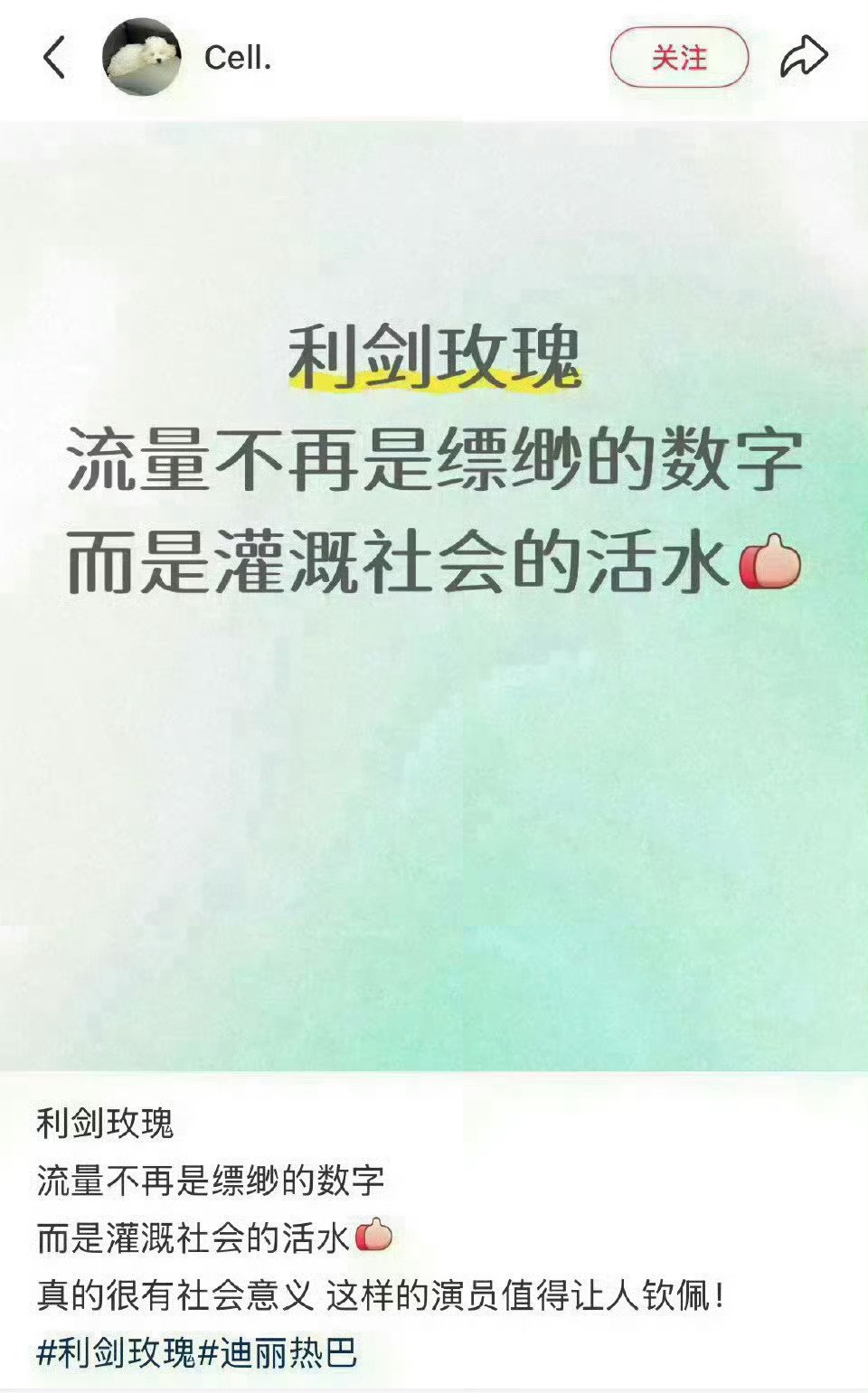 利剑玫瑰这个项目的初心，就不是为了功利，但她的成绩拿到了很意想不到的结果。谁能想